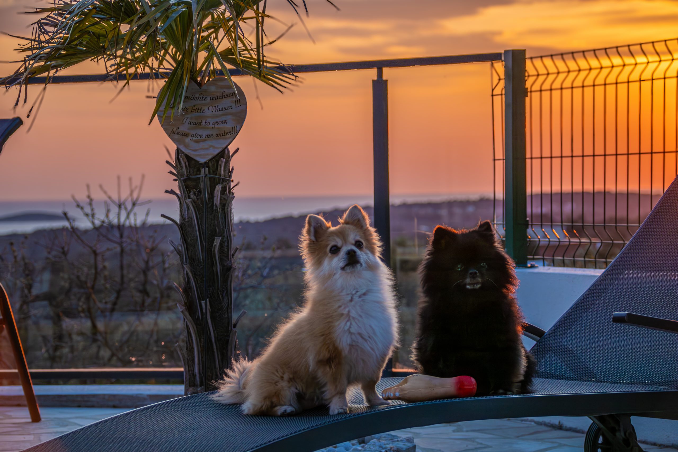 Villa_Alacinda_Tag1-47