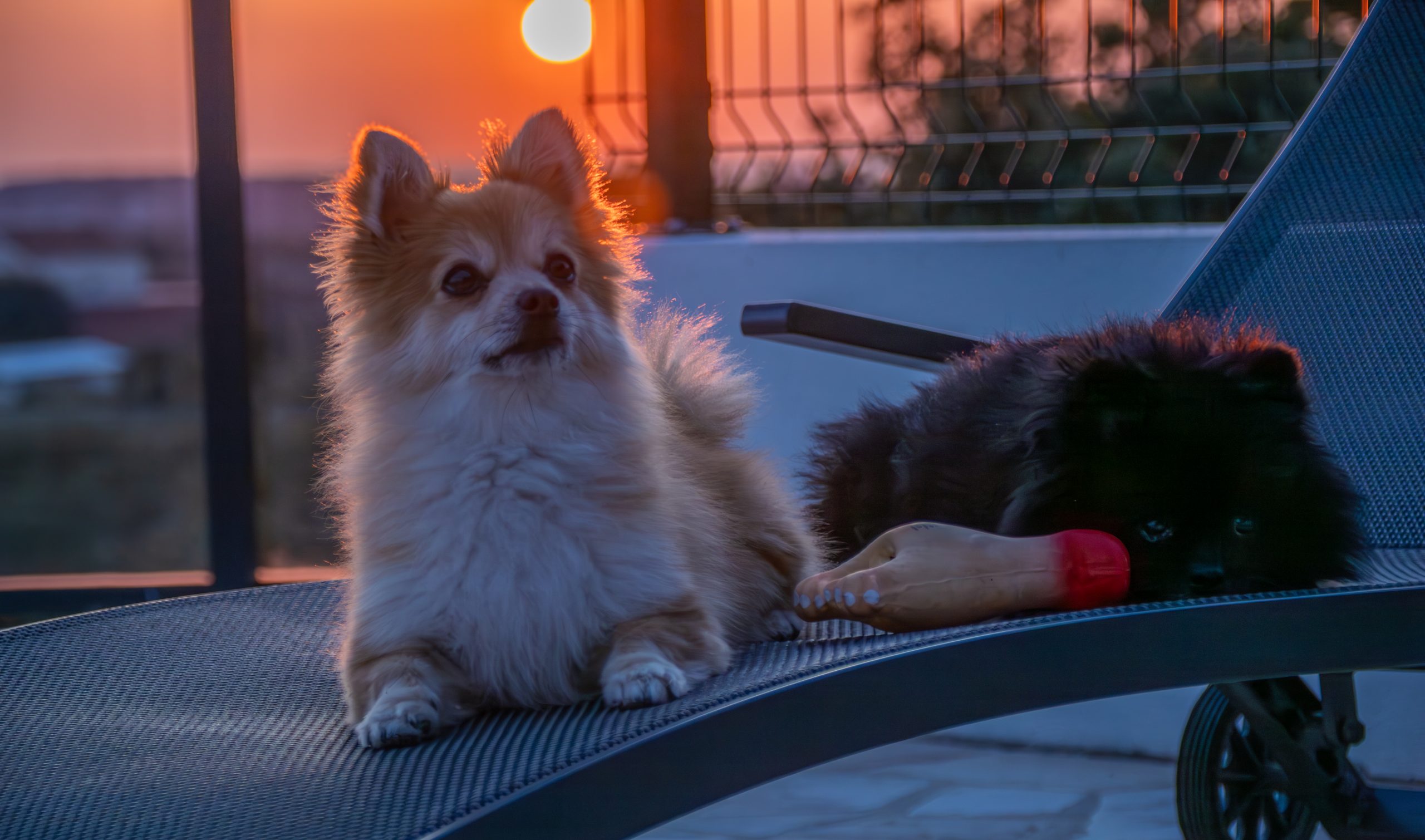 Villa_Alacinda_Tag1_70-10